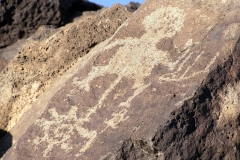 Petroglyphs at Albuquerque