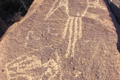Petroglyphs at Albuquerque