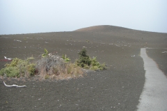Big Island, HI - Devastation Trail - Volcanos National Park