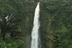 2016 - 50 Akaka Falls