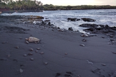 2016 - 67 Punalu'u Black Sand Beach